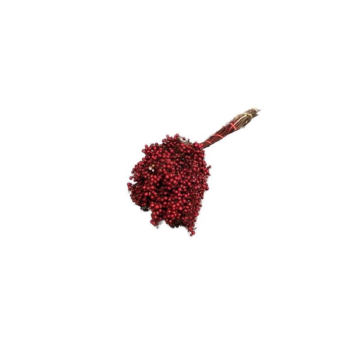 <h4>Bunch Pepperberries INV</h4>