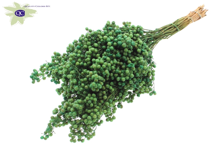 <h4>Pepperberries per bunch in poly mint green</h4>