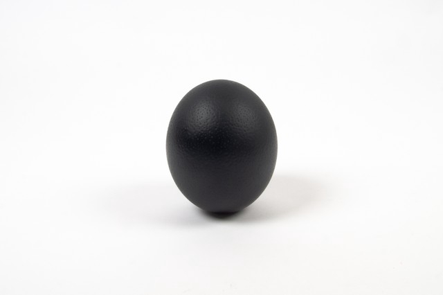 <h4>Egg ostrich paint black</h4>