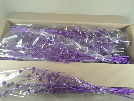 <h4>Df Lavatera Bs Purple 120g</h4>