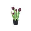 Silk Tulip In Pot 5x Purple 26cm