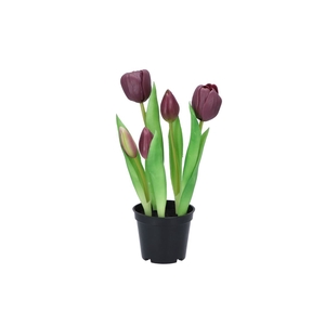 Silk Tulip In Pot 5x Purple 26cm