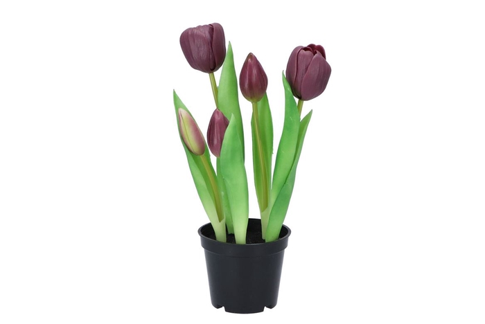 <h4>Silk Tulip In Pot 5x Purple 26cm</h4>