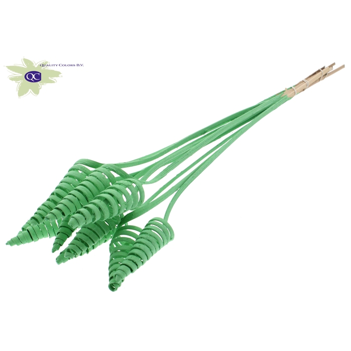 <h4>Cane Cone on stem Covered Mint Green</h4>