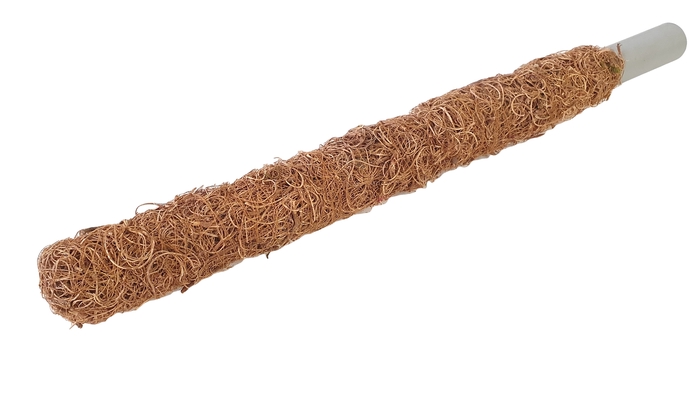 <h4>Tube 30mm with curly moss 50cm p pc natural</h4>