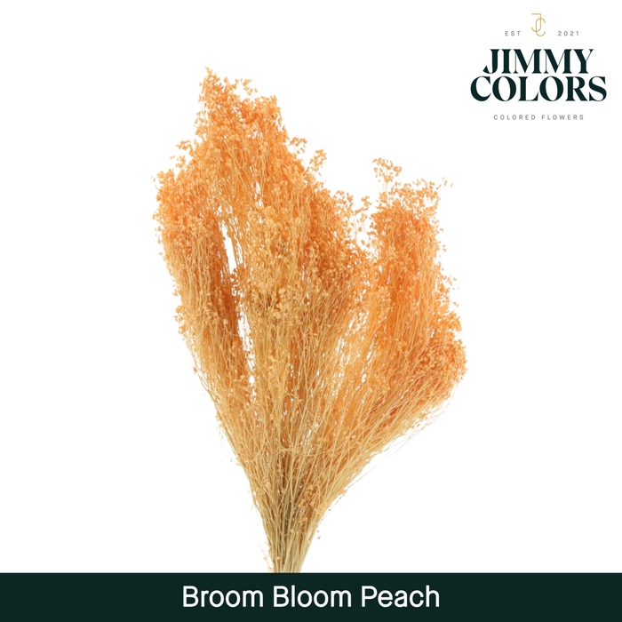 <h4>Broom bloom Peach</h4>