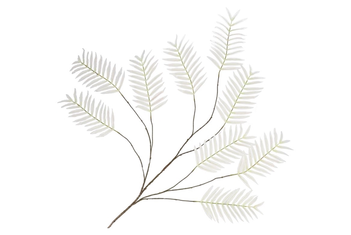 <h4>Silk Palm Leaf White 150cm</h4>