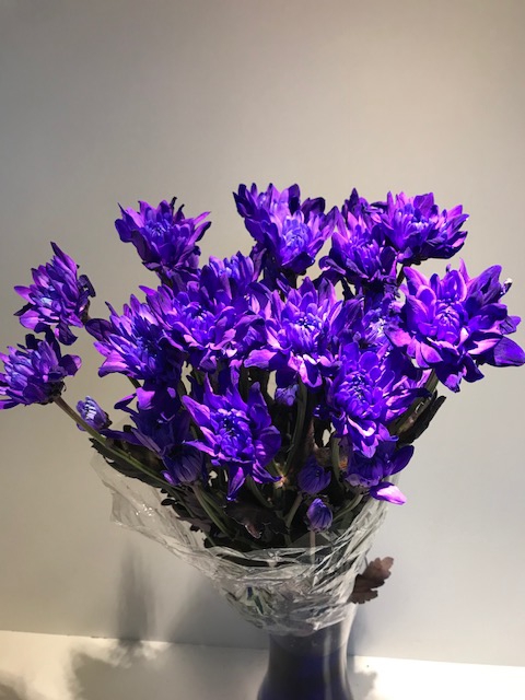 Chr tint Purple