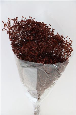 <h4>Dried Brooms D Brown Bunch</h4>
