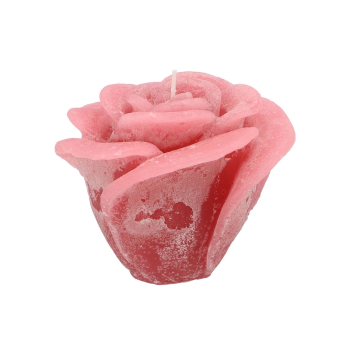 <h4>Candle Roos Blush Pink 14x12cm</h4>