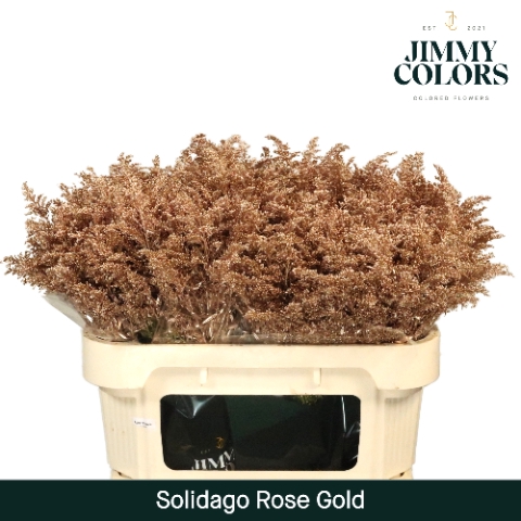 <h4>Solidago L70 Rose goud</h4>