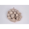 Acorn Cones 500gram in net white 