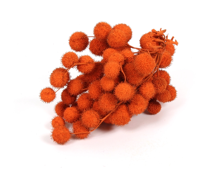 <h4>Small ball per bunch in poly orange</h4>