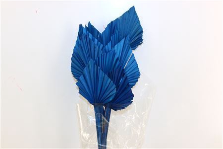 <h4>Dried Palm Spear 10pc Dark Blue</h4>