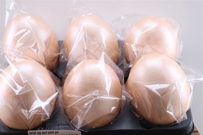 <h4>Basic Ostrich Egg Pearl Peach Pce</h4>
