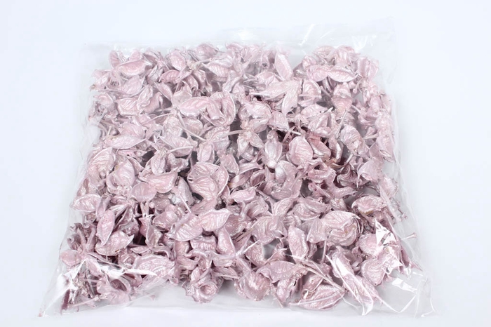 Cotton pods 250gr in poly Pearl Pink