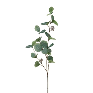 Af Eucalyptus L75cm Groen