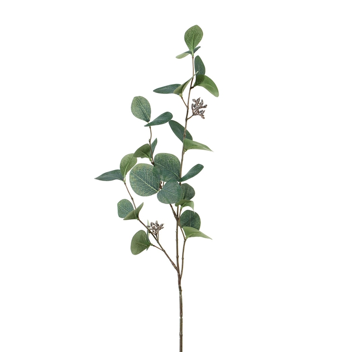 <h4>Af Eucalyptus L75cm Groen</h4>