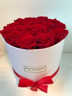 Flowerbox rd 20cm wit/rood