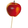 Pick Apple Ø6cm+50cm stick red