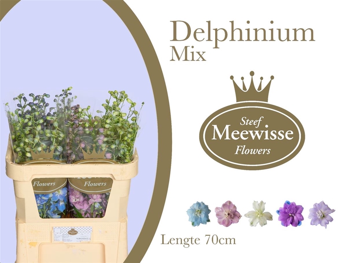 Delphinium do mix in bucket