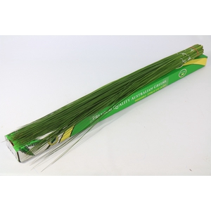 Leaf steelgrass (Xanthorrhoea)