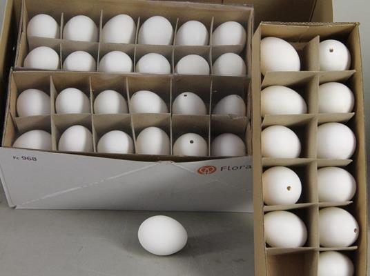 Egg Chicken White Box(12pcs)