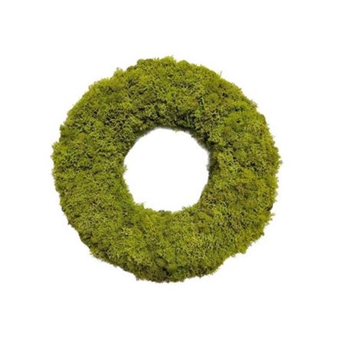 <h4>Wreath d40cm reindeer moss</h4>