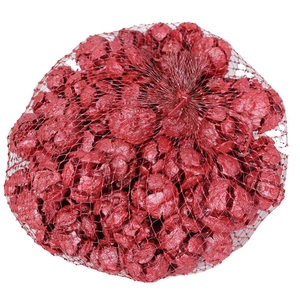Cupressus 500gram in net red 