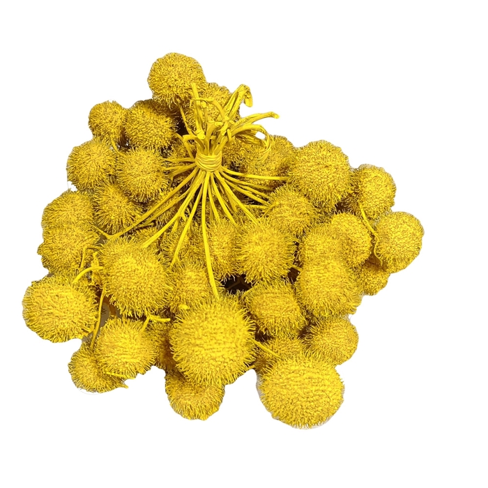 <h4>Small ball per bunch in poly Covered Yellow</h4>