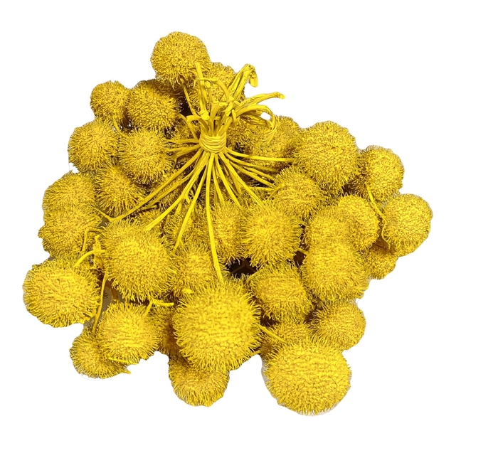 Small ball per bunch in poly Yellow