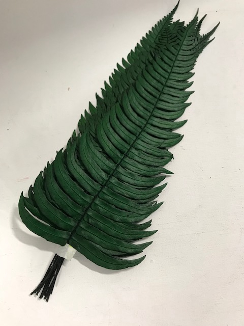 <h4>Rock fern 30/35cm</h4>