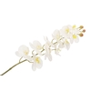 Silk Orchidee Xl White 73cm