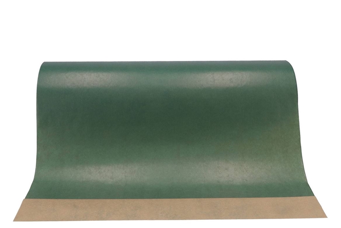 <h4>Paper on the roll dark green 60cm a 12 kilo</h4>