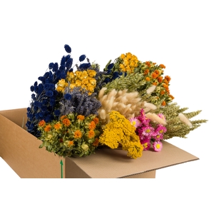 DRIED FLOWERS MIX IN BOX MULTI