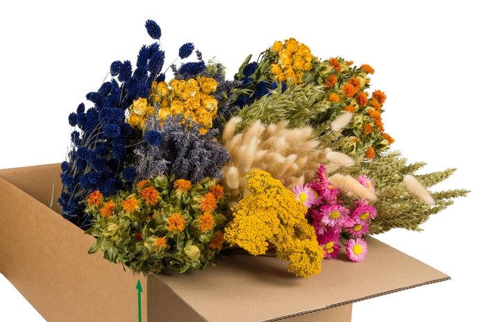 DRIED FLOWERS MIX IN BOX MULTI