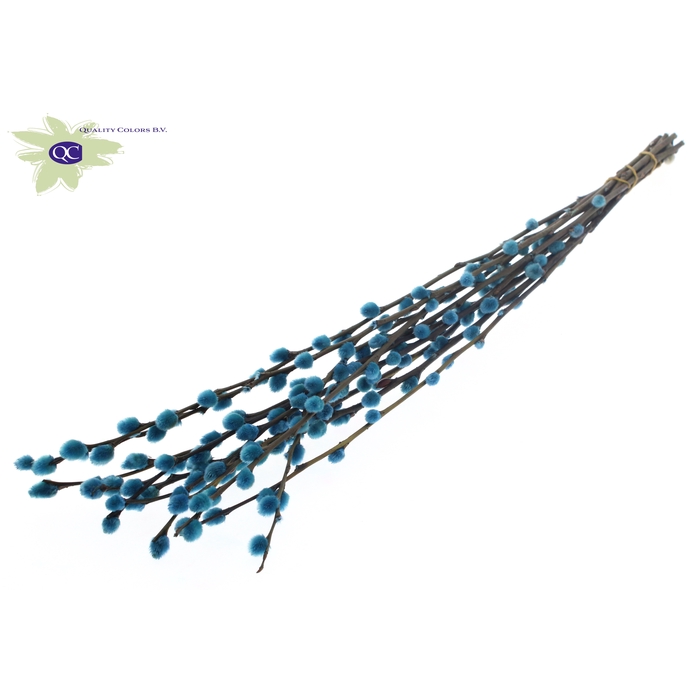 <h4>Pussy Willow 60cm Light Blue</h4>