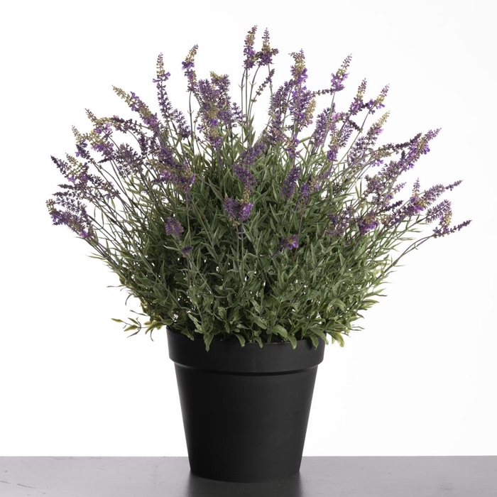 <h4>Af Lavender Pot H76cm Purple</h4>