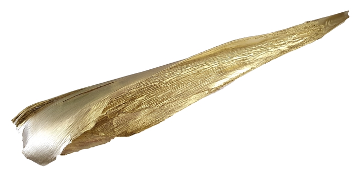 Calvao carana lgt 110-140cm per pc gold
