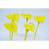 Lata Heart 8cm on stem Hat type Covered Yellow