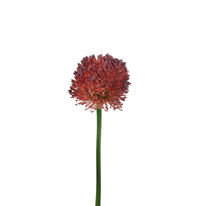 Artificial flowers Allium 62cm