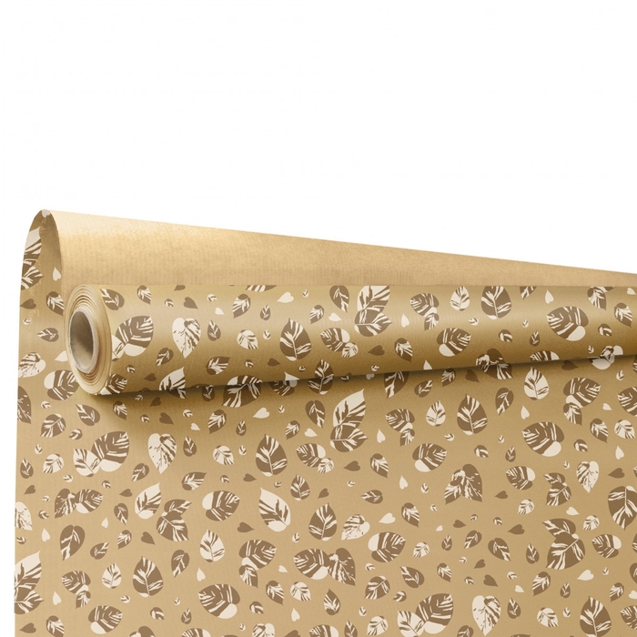 <h4>Paper Roll 80cm 25m Eco Lina</h4>