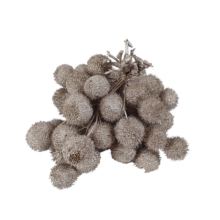 <h4>Small ball per bunch in poly Champagne</h4>