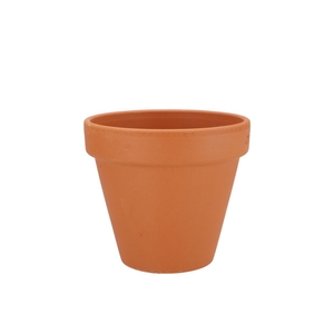 Terracotta Basic Pot 11cm