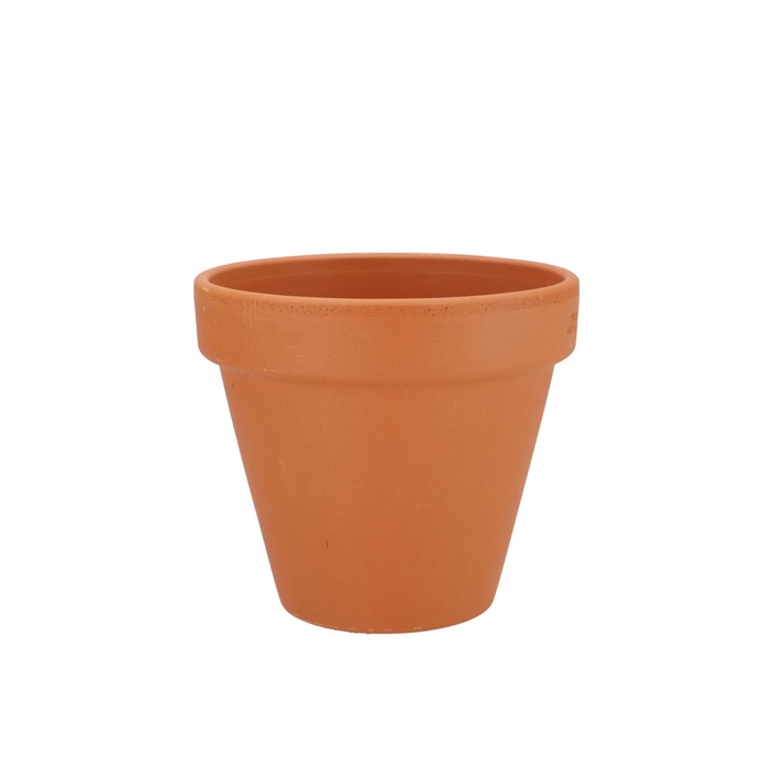 <h4>Terracotta Basic Pot 11cm</h4>