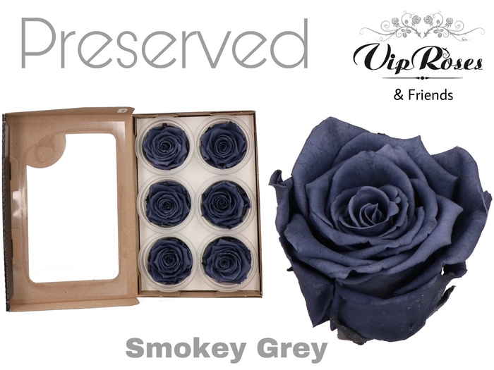 Preserved rosa smoked grey