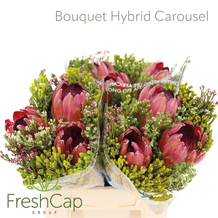 <h4>Bouquet Hybrid Carousel</h4>
