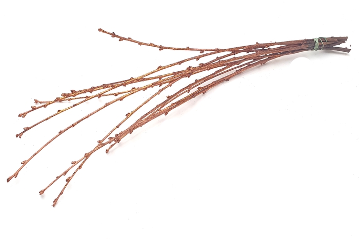 Avium branches lgt 40cm 10 stems per bunch Copper + Glitter