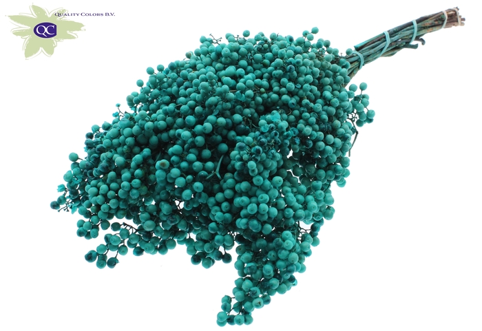 <h4>Pepperberries per bunch in poly turquoise</h4>