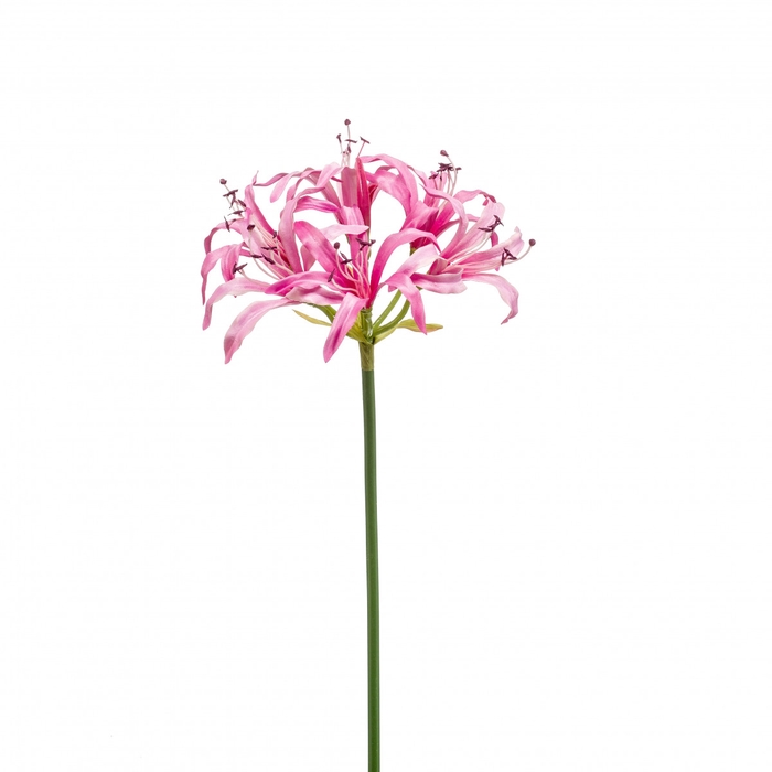 Artificial flowers Nerine 75cm